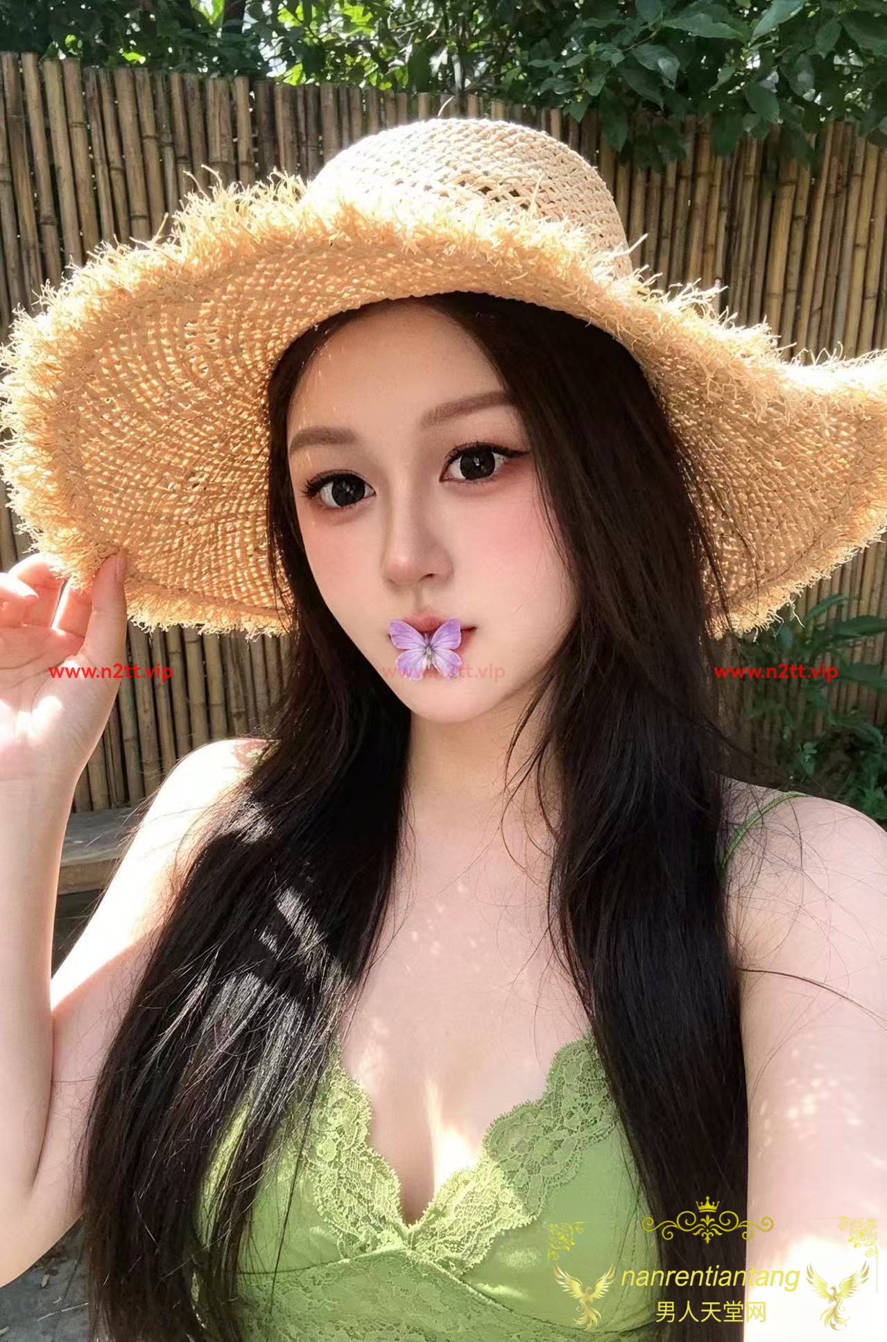 SGHarem 新加坡后宫网档案展示头像