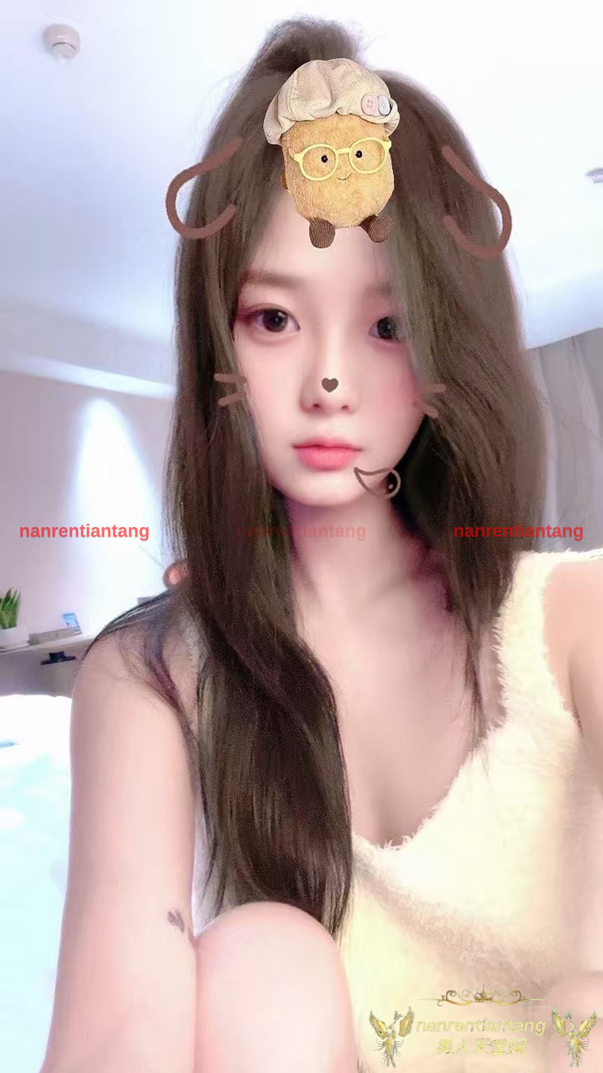 SGHarem Singapore escort platform